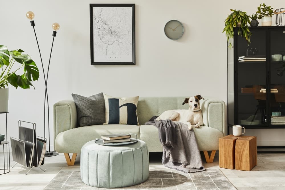 Once you find a suitable property...